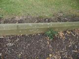 image of grave number 186057